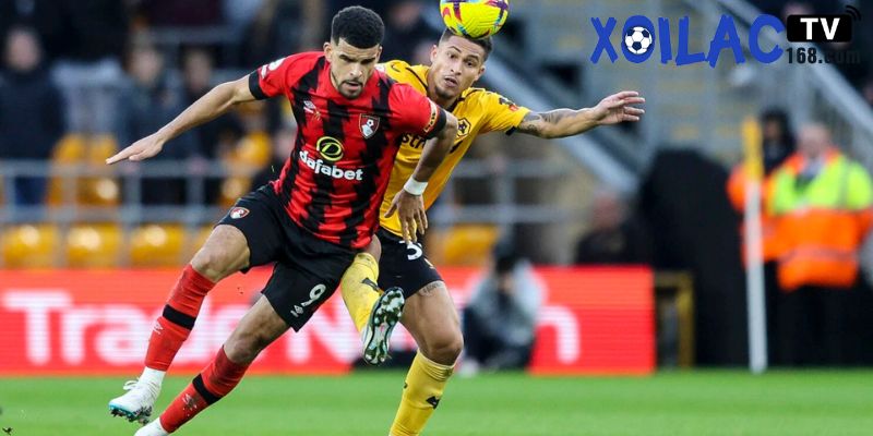 Vòng 13 Premier League là sự gặp gỡ giữa Wolves vs Bournemouth